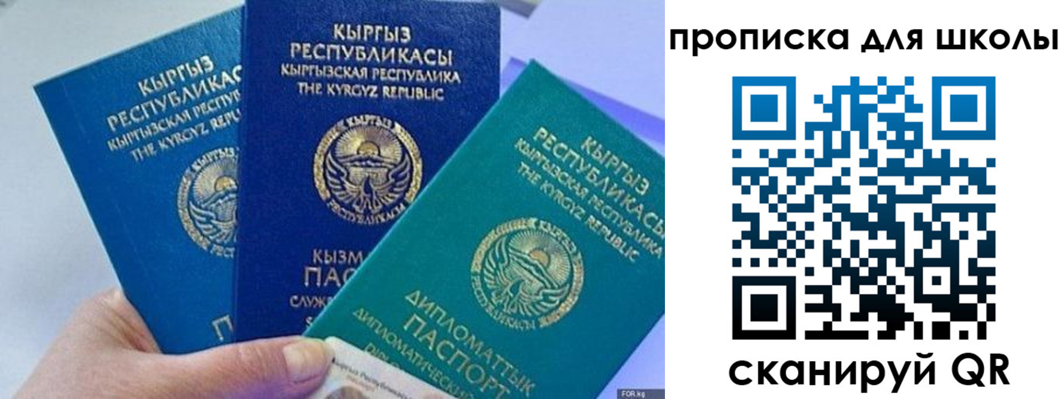 прописка регистрация в Мирном